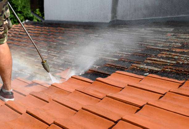 Best Sidewalk Pressure Washing  in Oak Point, TX