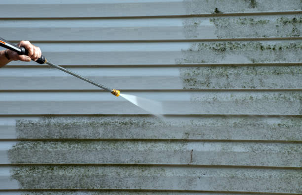 Best Exterior Home Cleaning  in Oak Point, TX