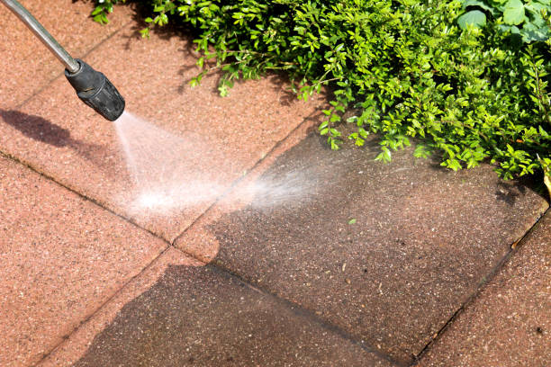Best Local Pressure Washing Services  in Oak Point, TX